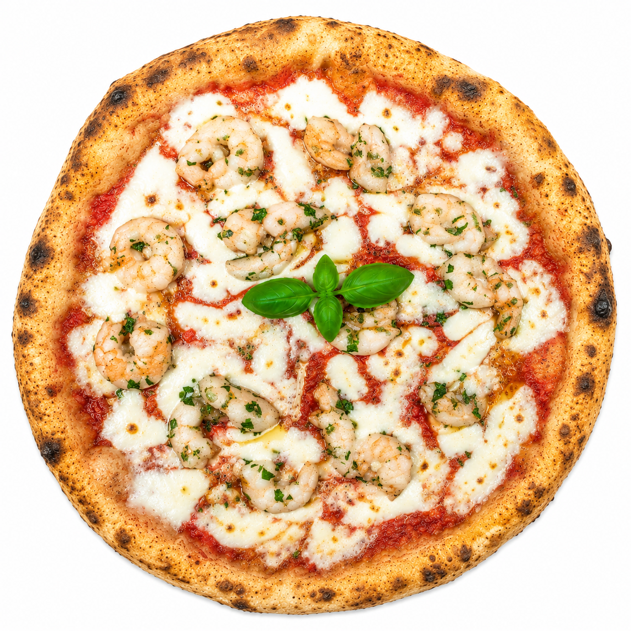 Prawns from Napoli 7