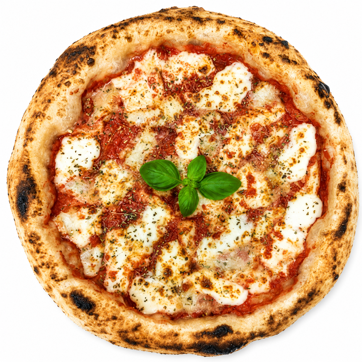 Quattro Formaggi (Four Cheese) from Napoli 7